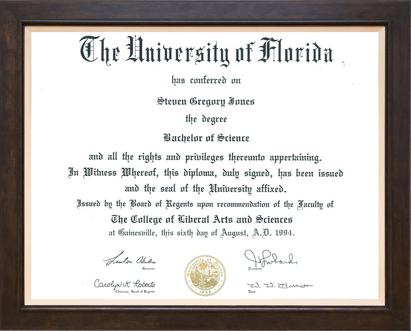 University of florida master thesis material science